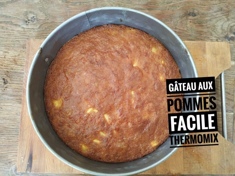 Recette Gateau Aux Pommes Facile Thermomix – Recettes économiques