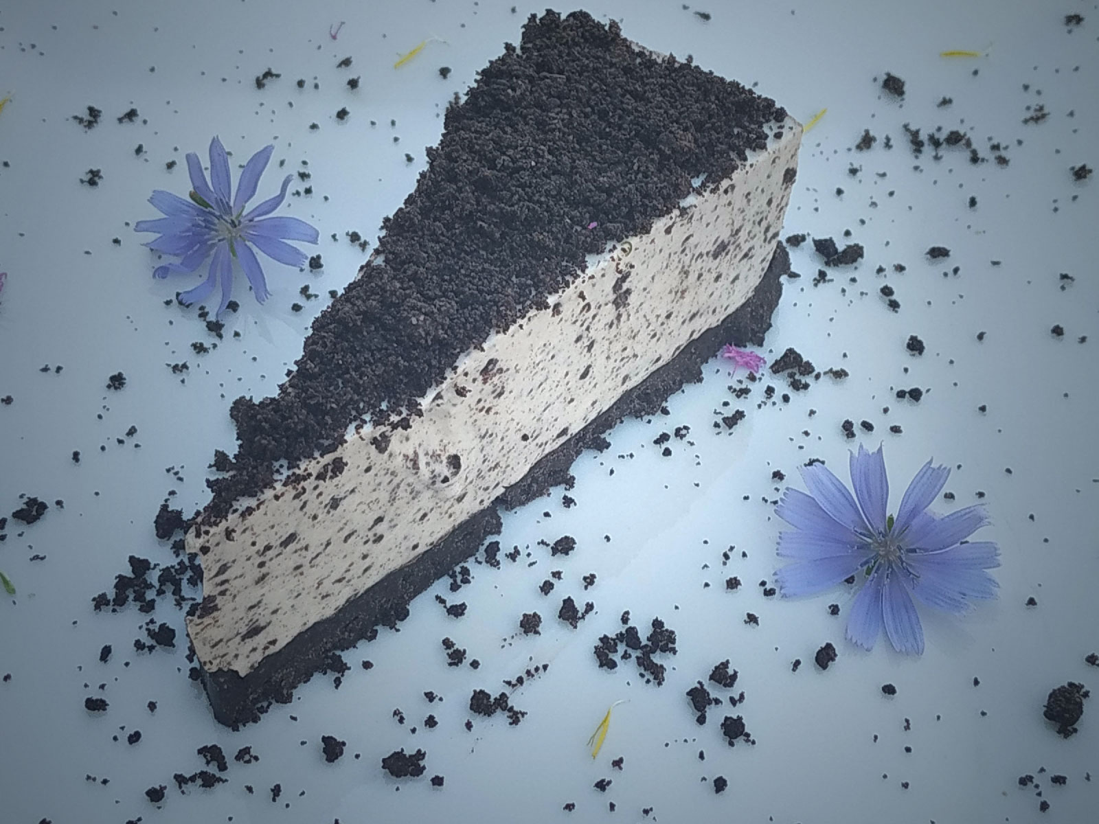 Cheesecake Oreo Sans Cuisson Thermomix Recettes De Cuisine Avec Thermomix Ou Pas